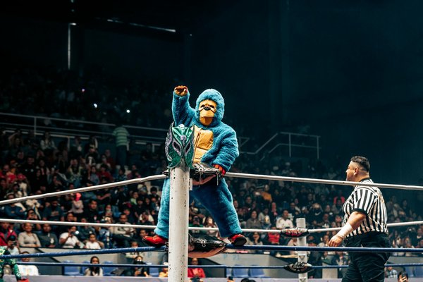 Location de vélo : ce que vous devez savoir sur les assurances